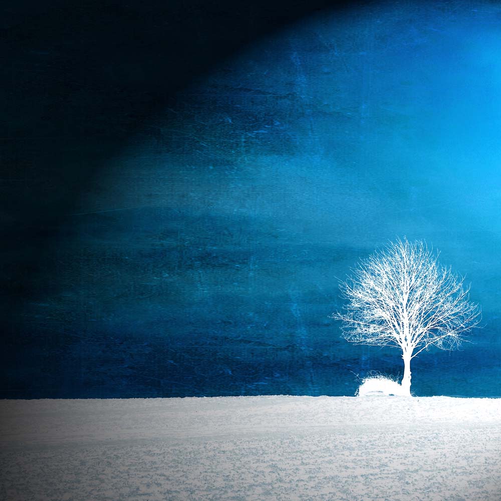 Sensation in Blue Wall Mural