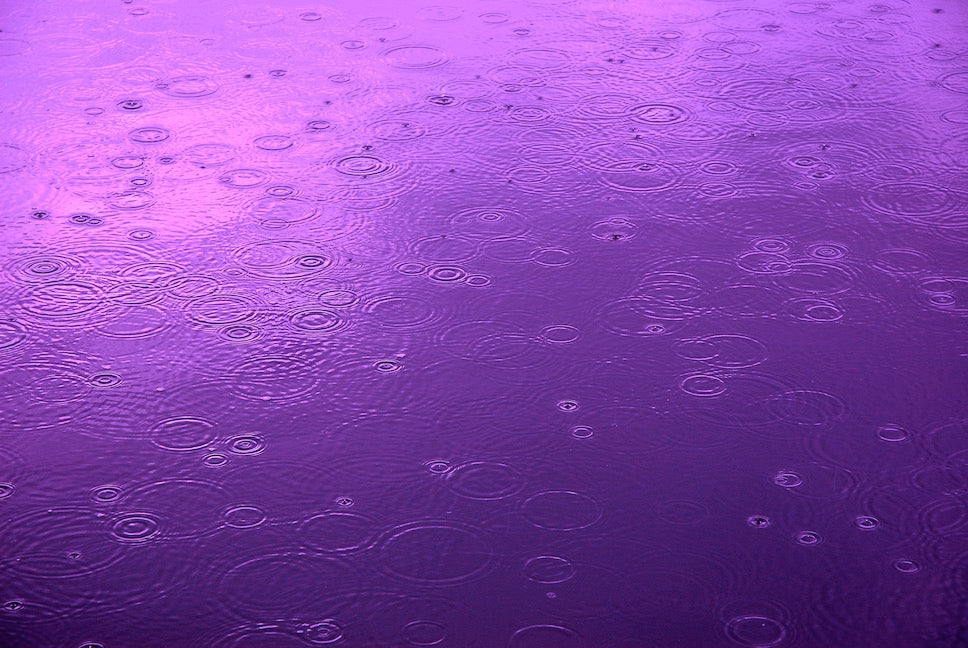 Purple Rain Wall Mural