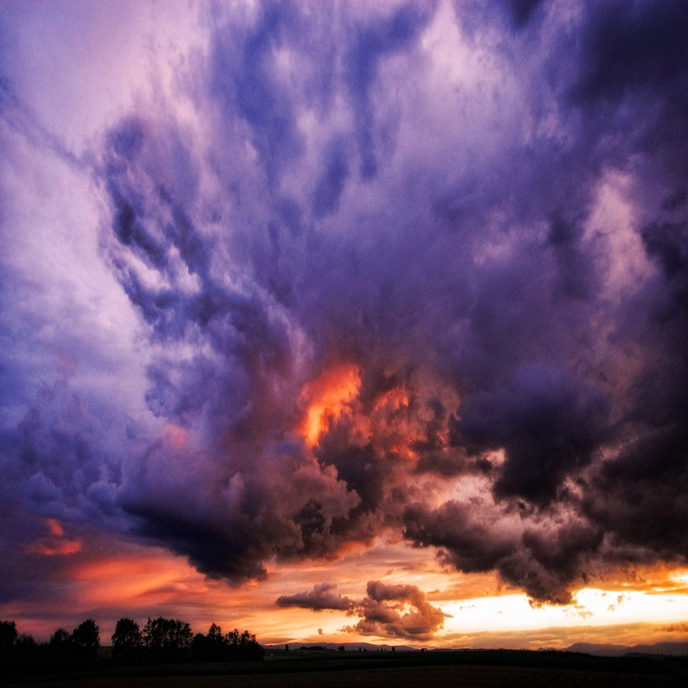 The Sky Is Broken Wall Mural