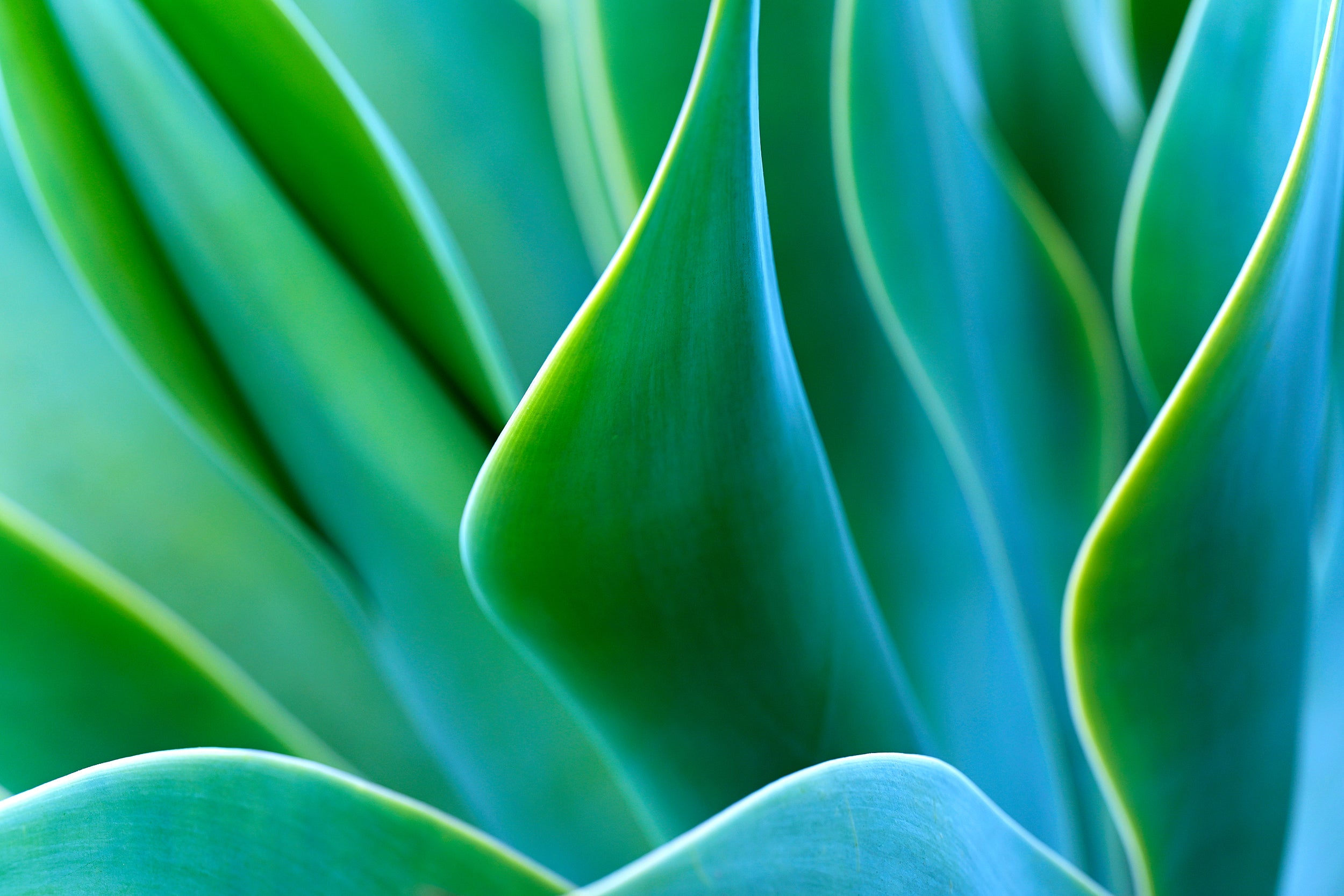 Frosted Emerald Wall Mural
