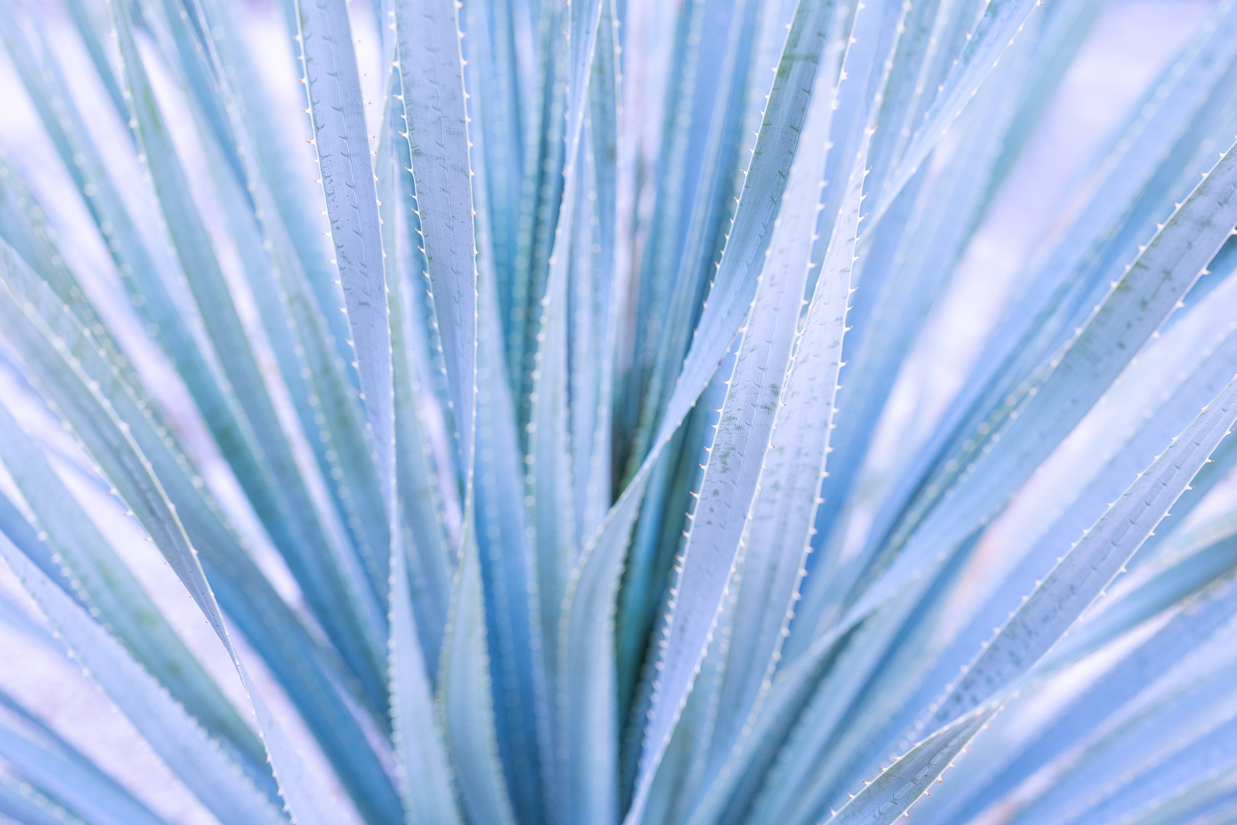 Layered Blue Wall Mural