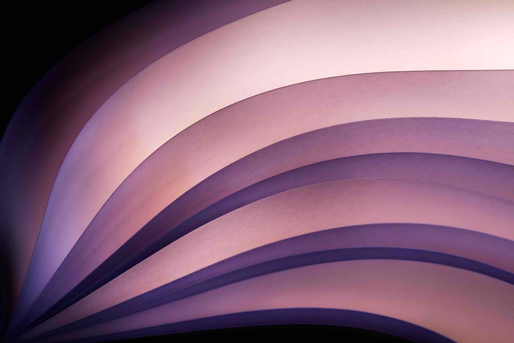 A Fan of Purple Wall Mural