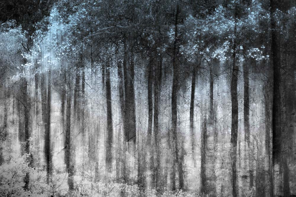 Ghost Forest Wall Mural
