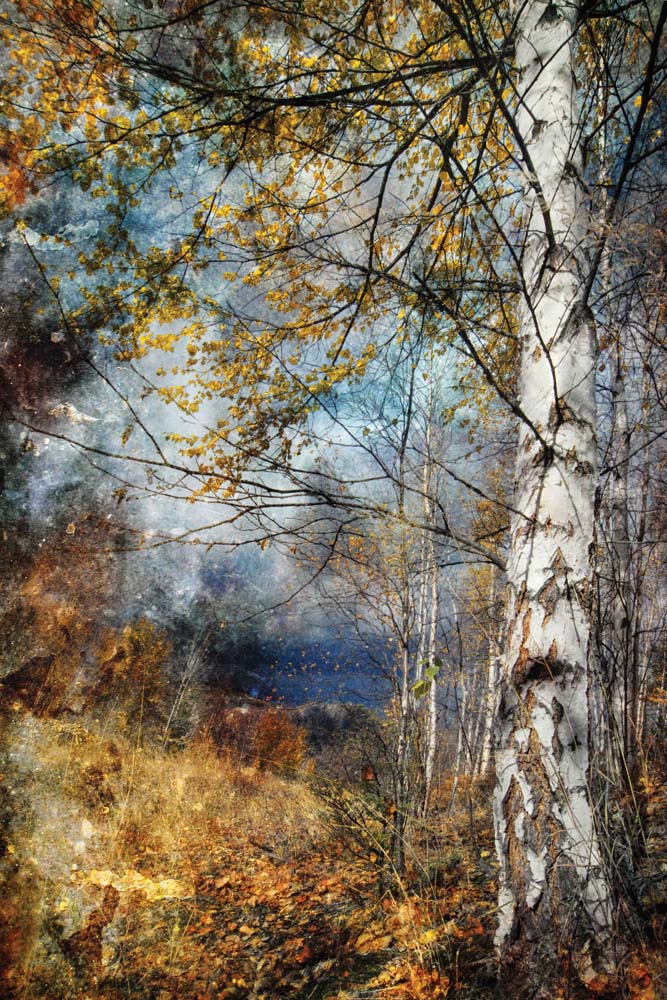Kootenay Fall Wall Mural