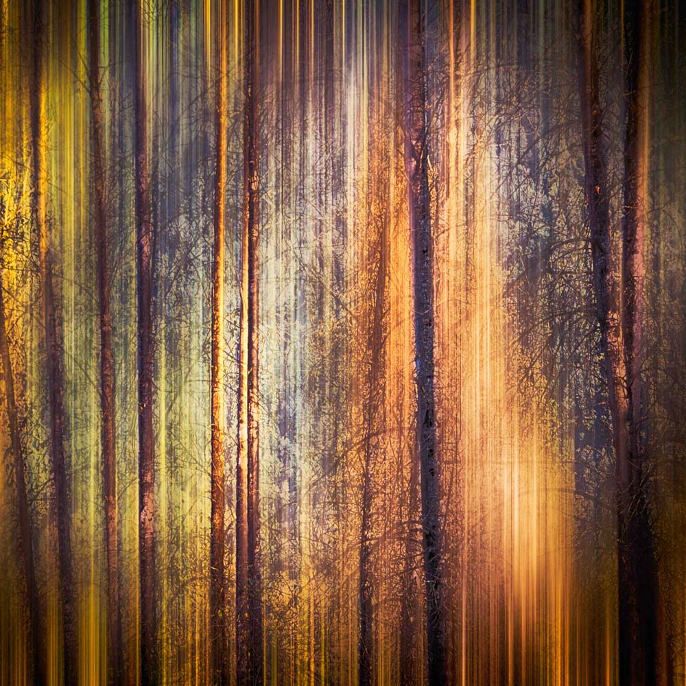 Autumn Walk Wall Mural