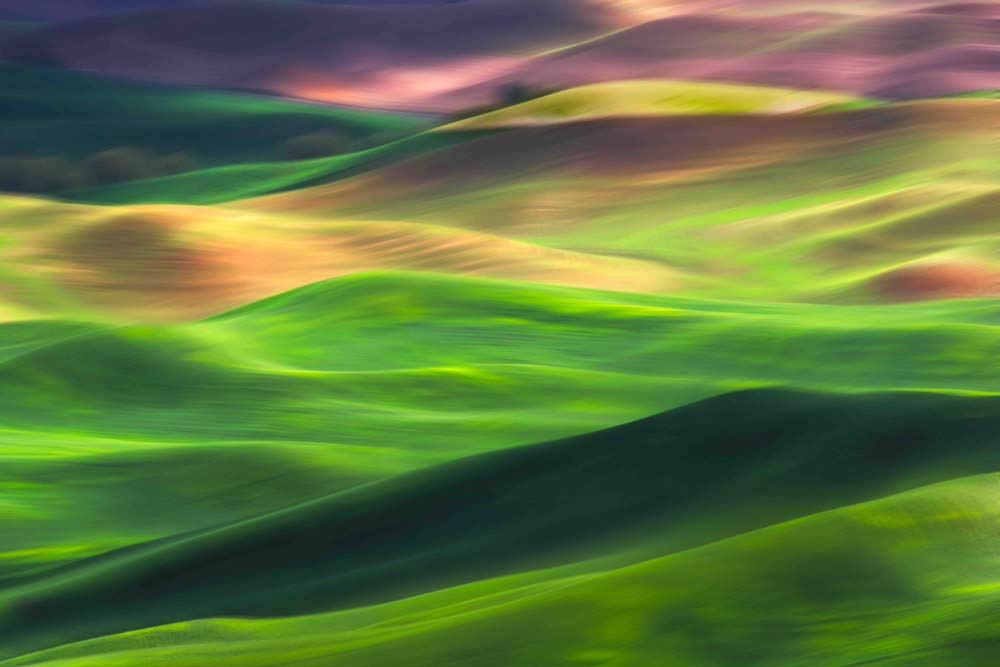 Palouse Wall Mural