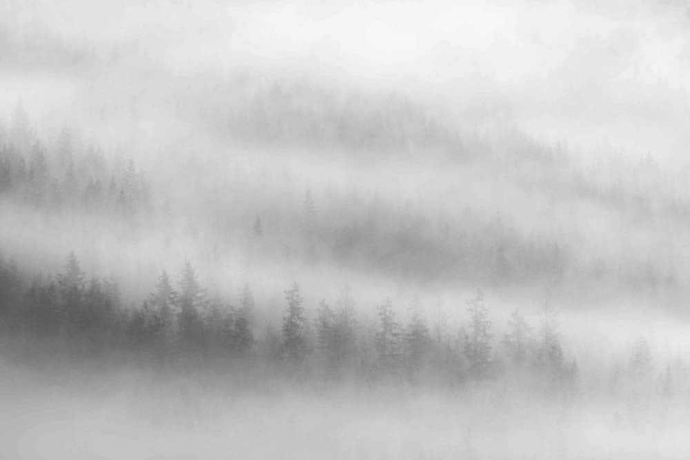Fog Wall Mural