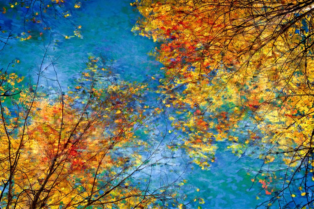Fall Tapestry Wall Mural