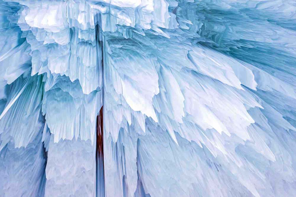 Winter is Here Wall Mural