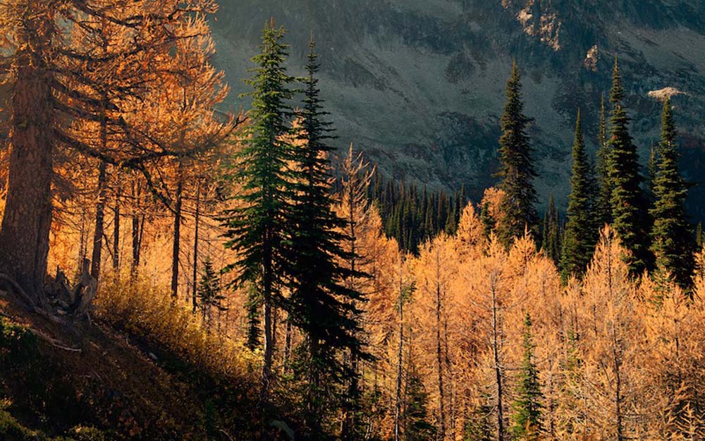 Fall in the Mountains 3 Wall Mural