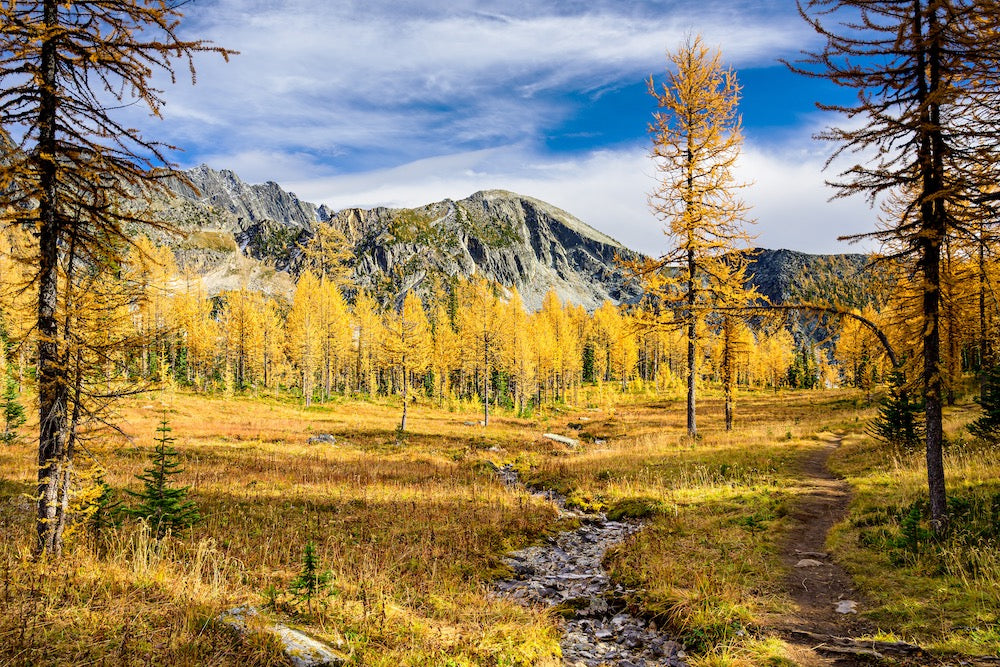 A Glorious Hike Wall Mural