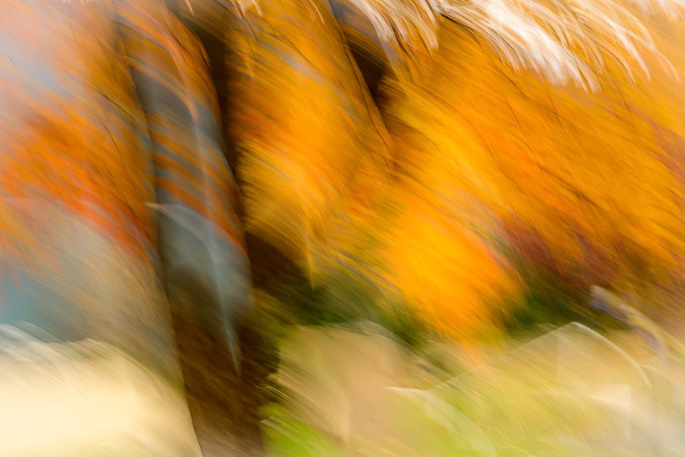 Autumn Impression 1 Wall Mural