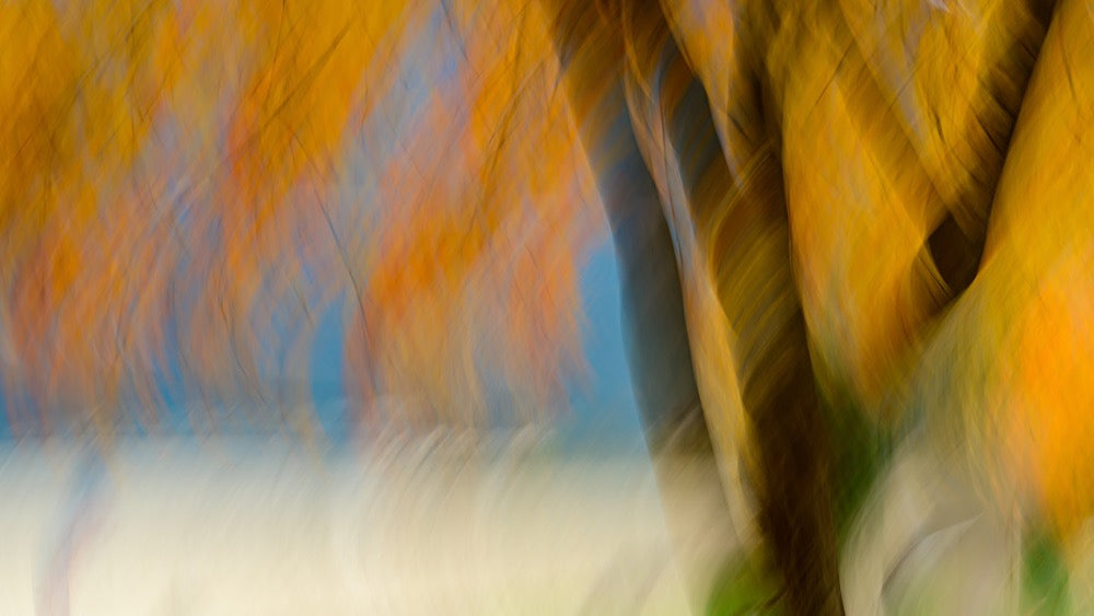Autumn Impression 2 Wall Mural