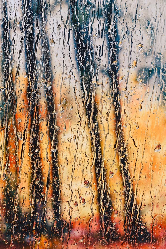 Rain in Fall Wall Mural