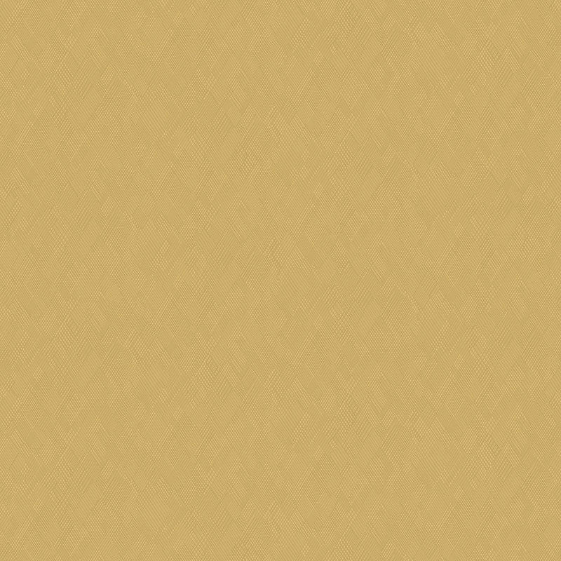 Vibes 03