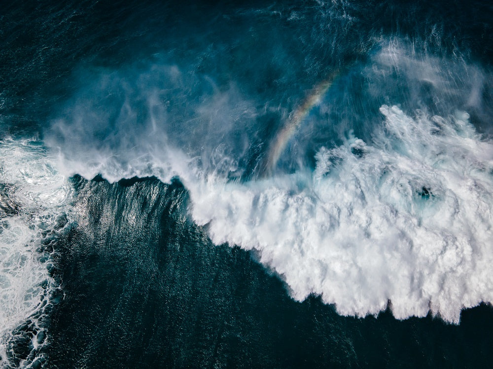 Above The Waves Wall Mural