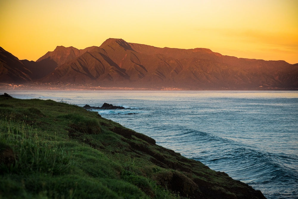 Beauty of Maui Wall Mural