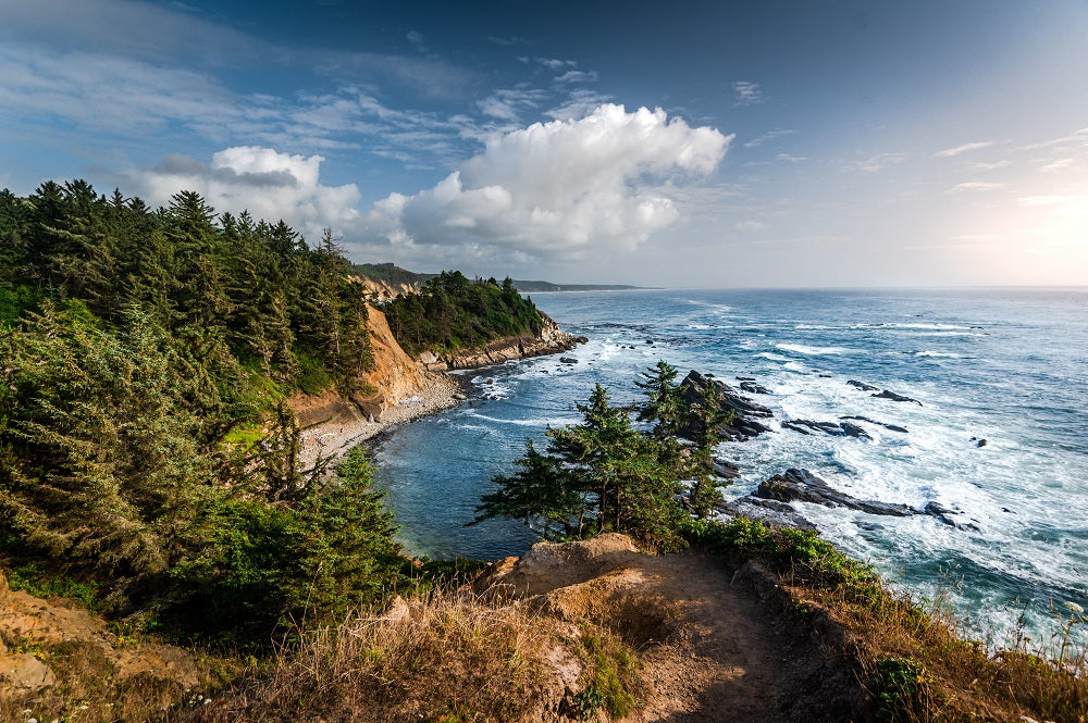 Blue Coast Wall Mural