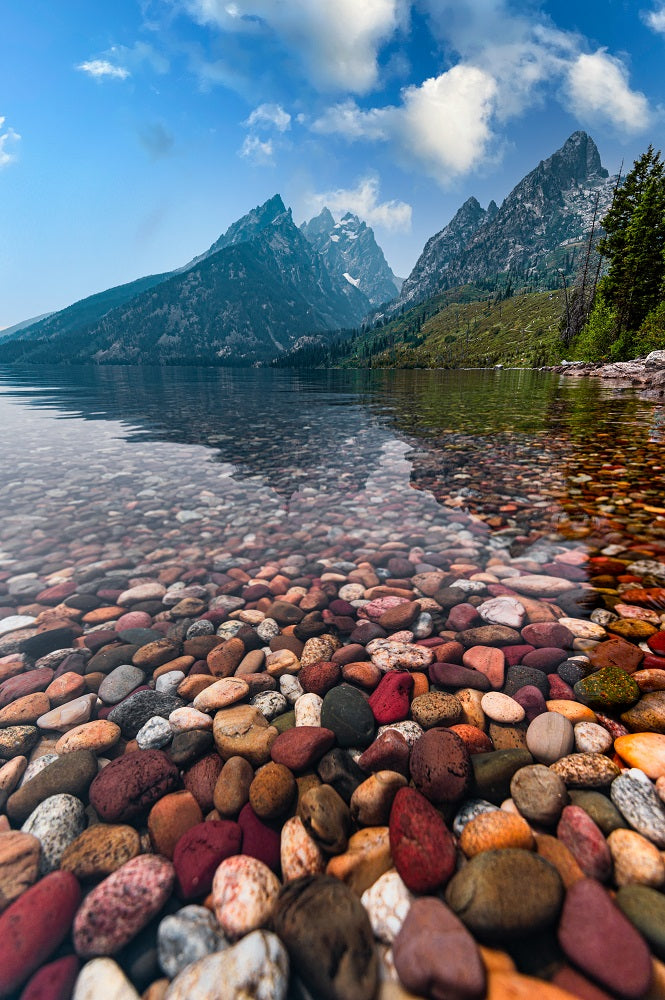 Colored Pebbles Wall Mural