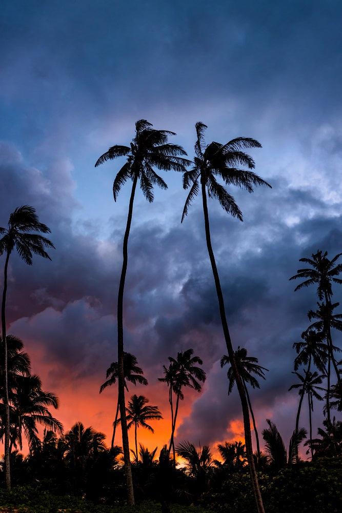 Fire Sunset Wall Mural