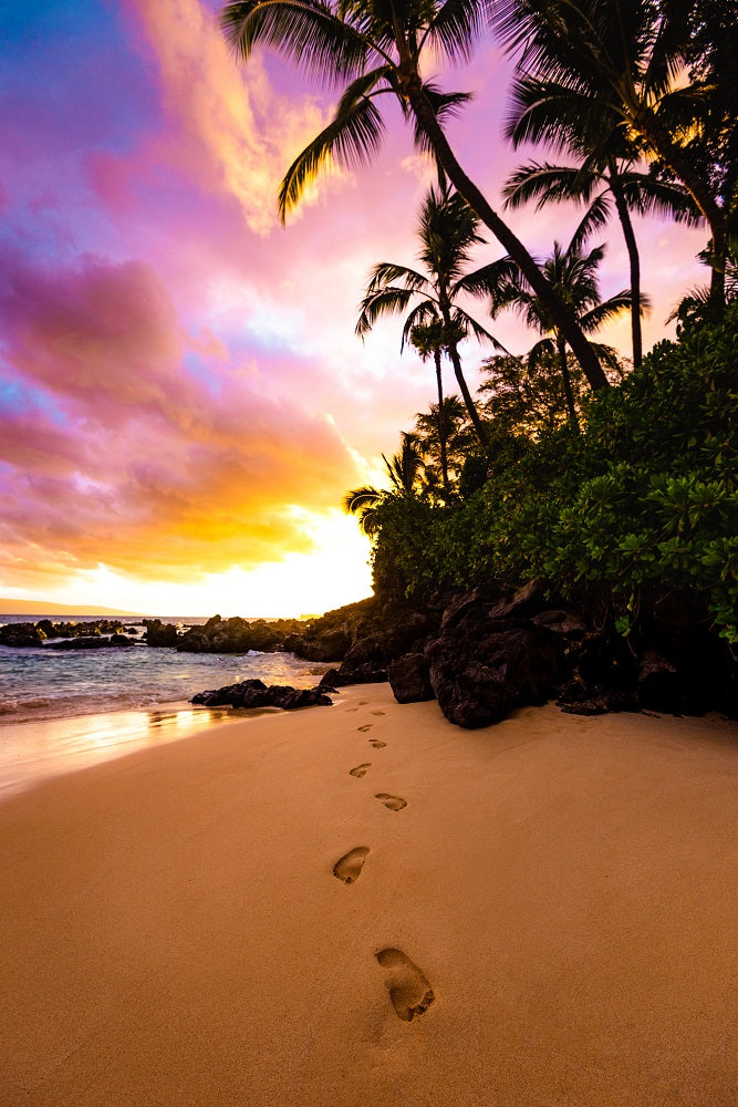 Footprints in the Sand Wall Mural