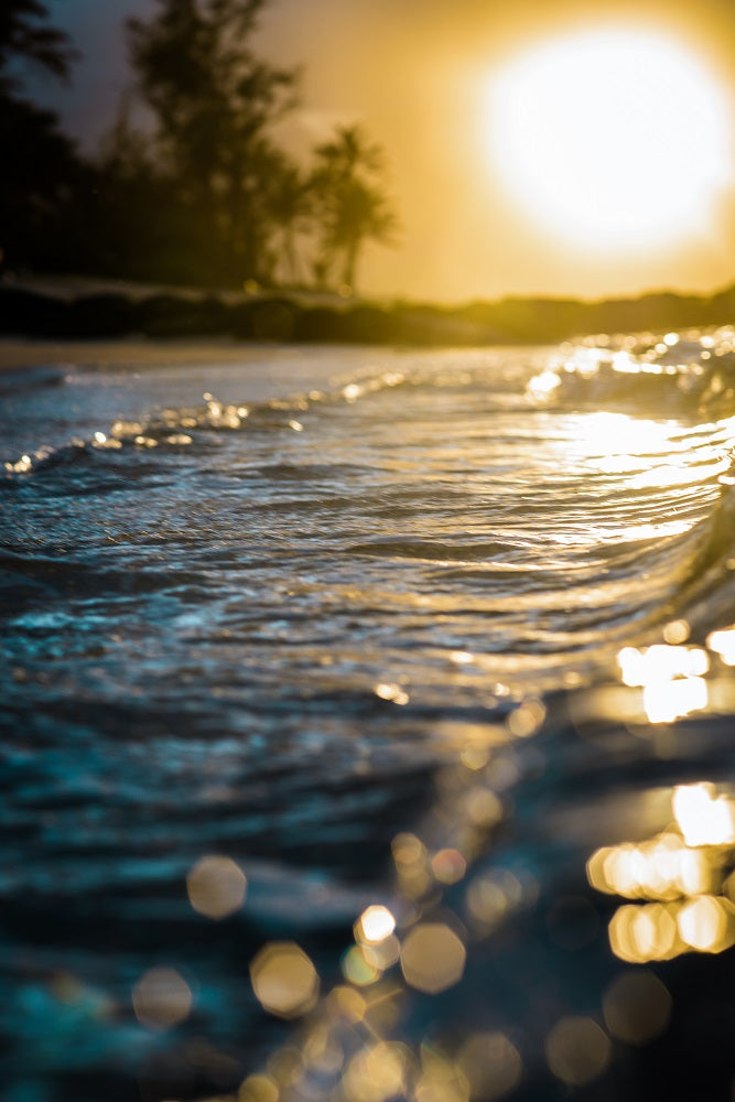 Glistening Waters Wall Mural