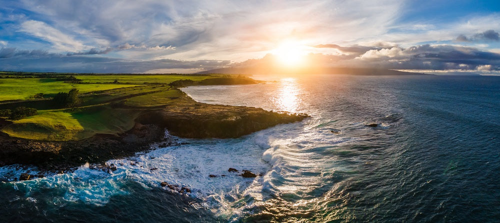 Maui Coast Wall Mural