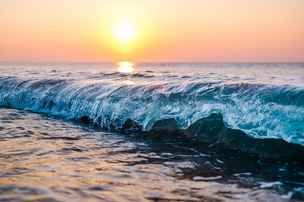 Morning Break Wall Mural