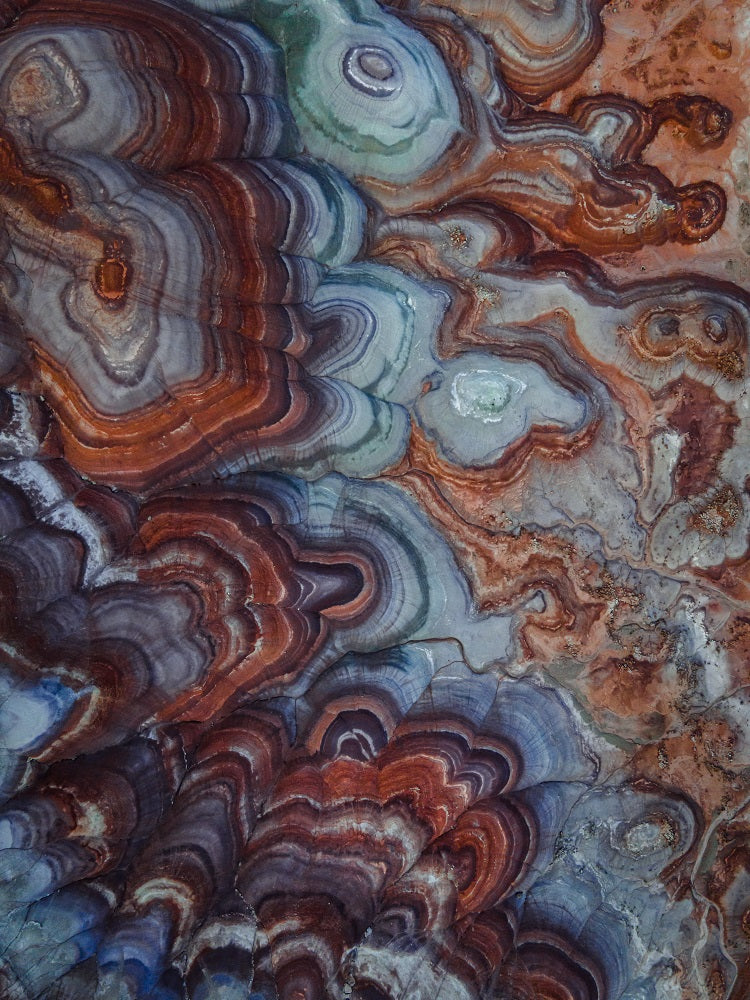 Out Of This World Wall Mural