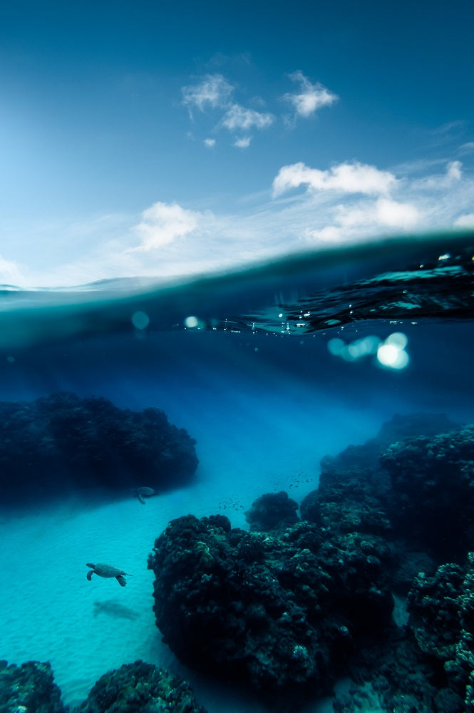 Deep Blue Sea Wall Mural