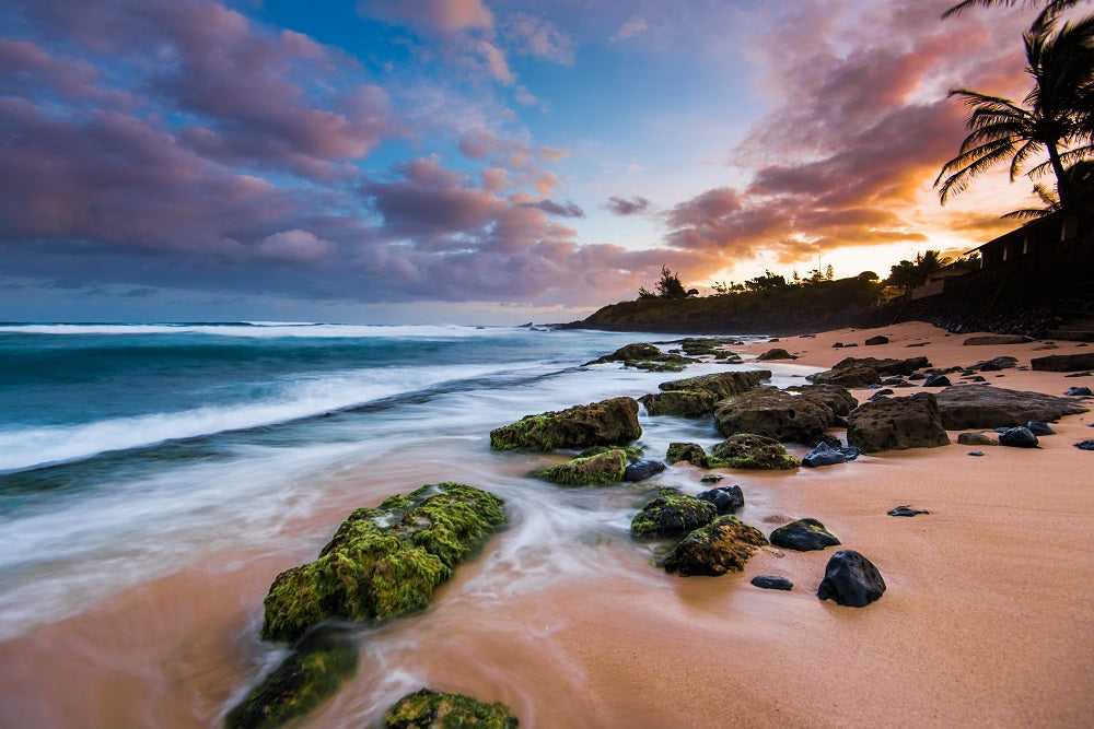 Maui Sunrise Wall Mural