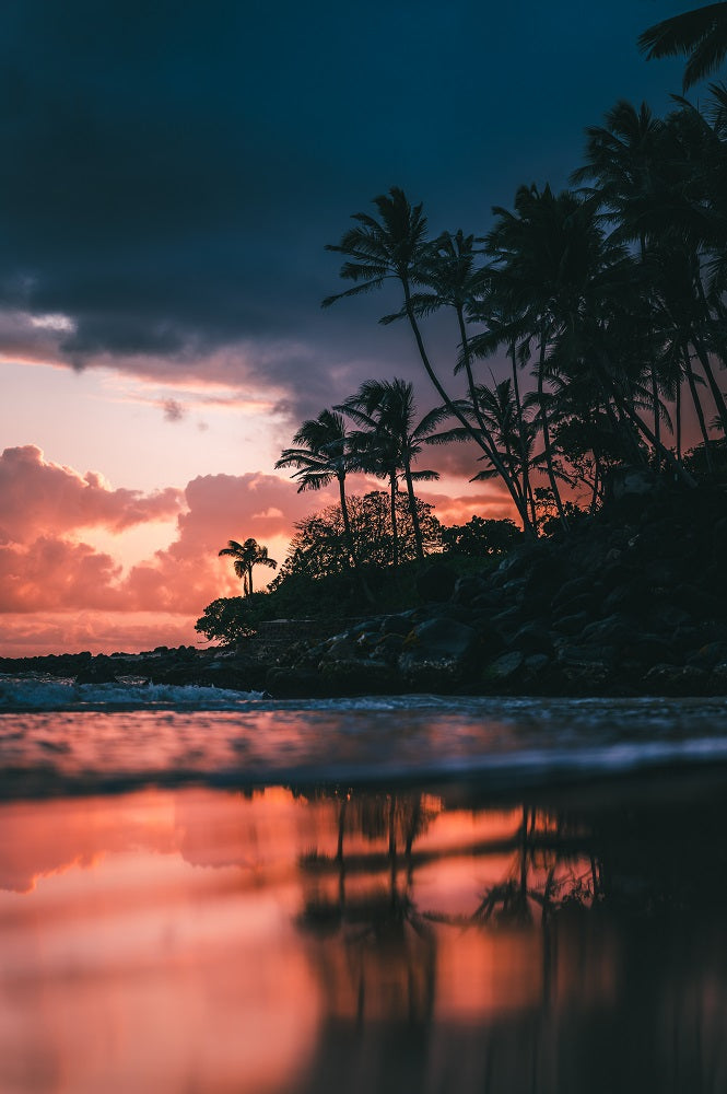 Sunrise From Shore Wall Mural