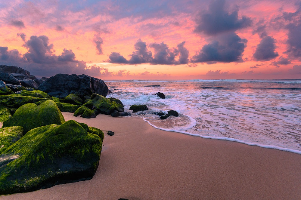 Maui Pink Sunset Wall Mural